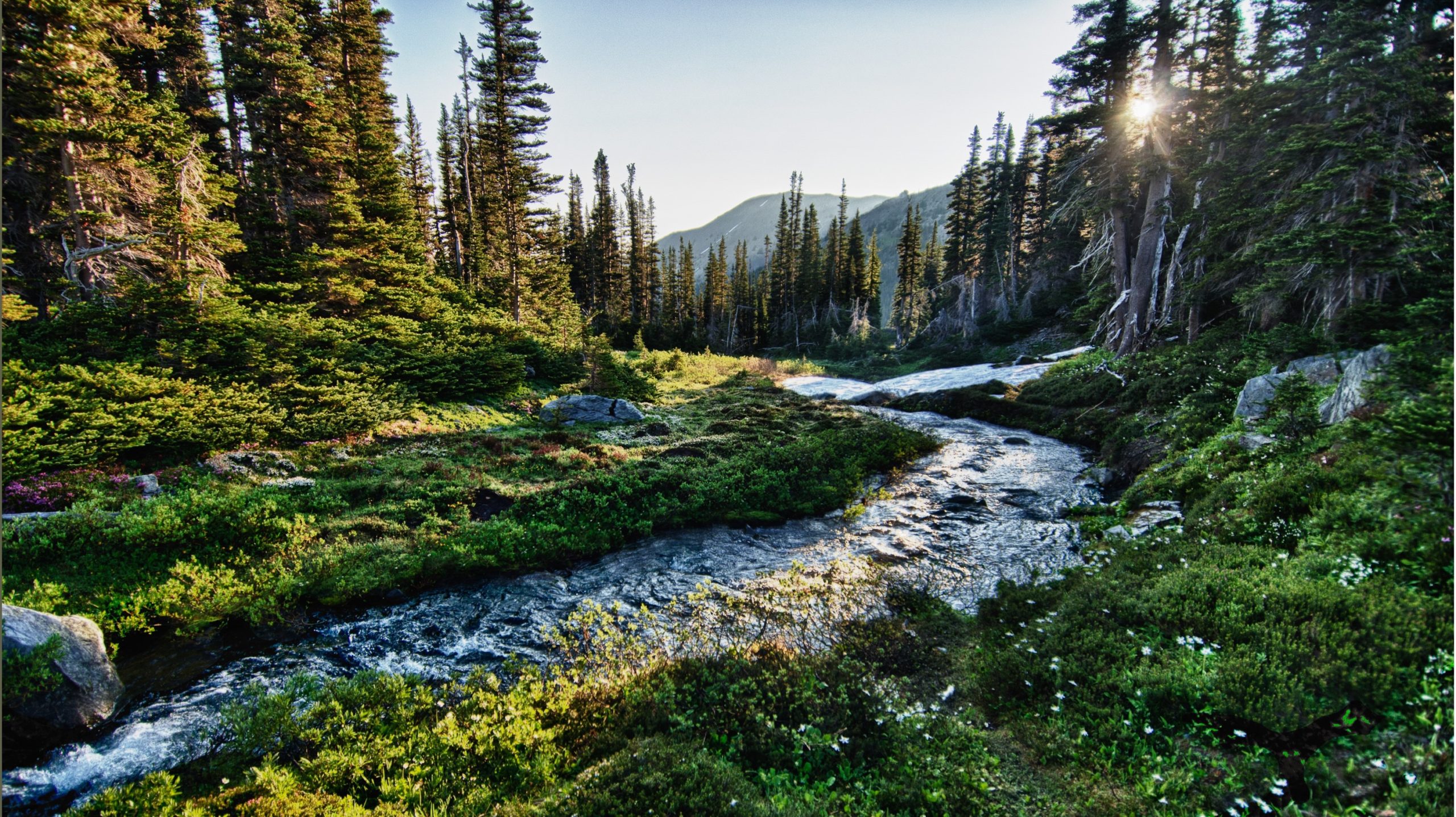 Our Story - Washington Water Trust