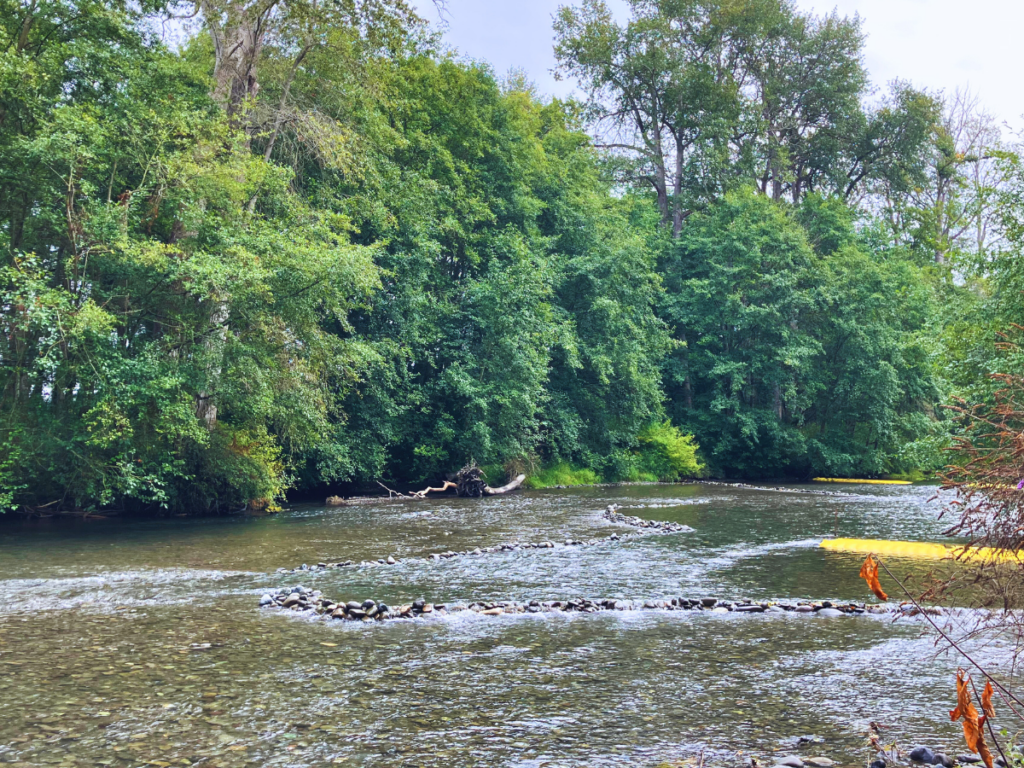 Rocks and aquadams are arranged in a river with a low water level to channel its flow.