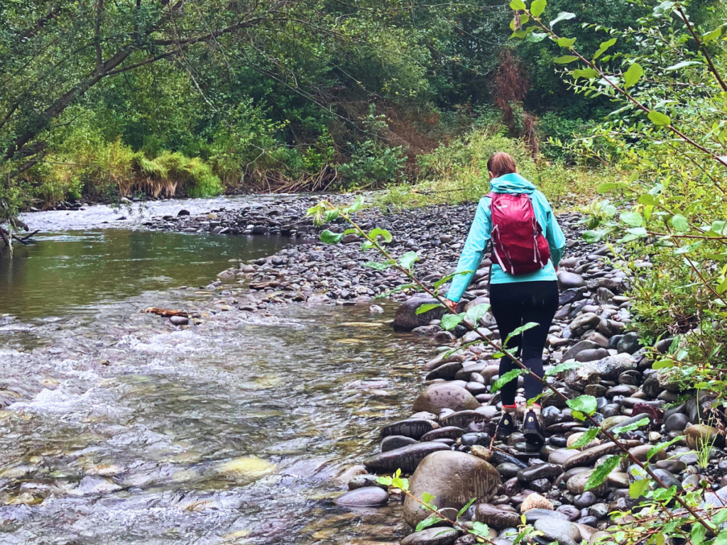 A woman walks between the Dungeness River and plants on rocks along the river.