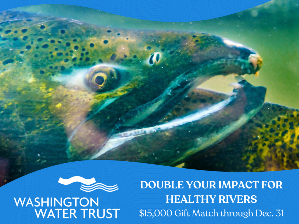 Close up of a salmon's face with the Washington Water Trust logo and the text "Double your impact for healthy rivers $15,000 match through Dec. 31"