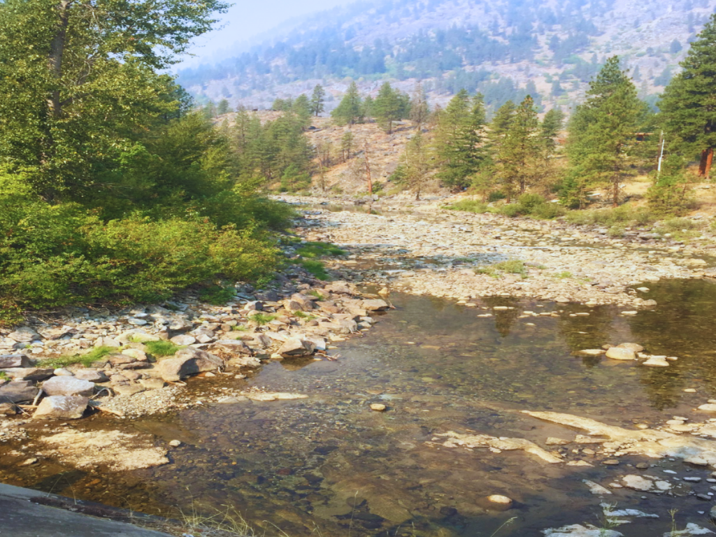 River with low water level. Rocks are exposed on its banks and in its channels, and trees and hills are around it.