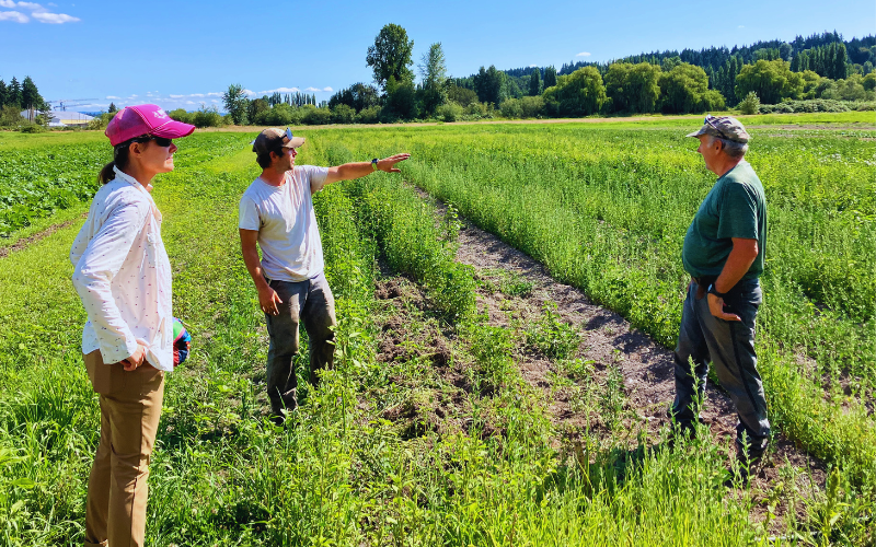 Three people talk in a farm field with one pointing outside the frame.