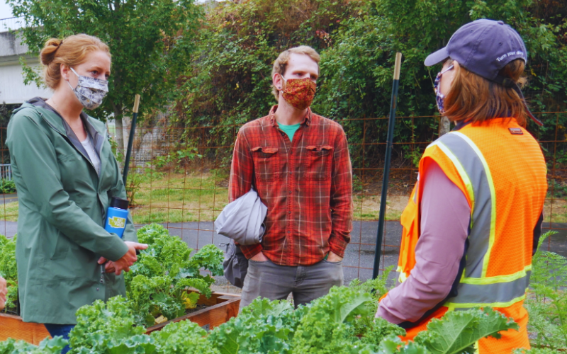 Three people talk by a garden plot growing leafy greens.